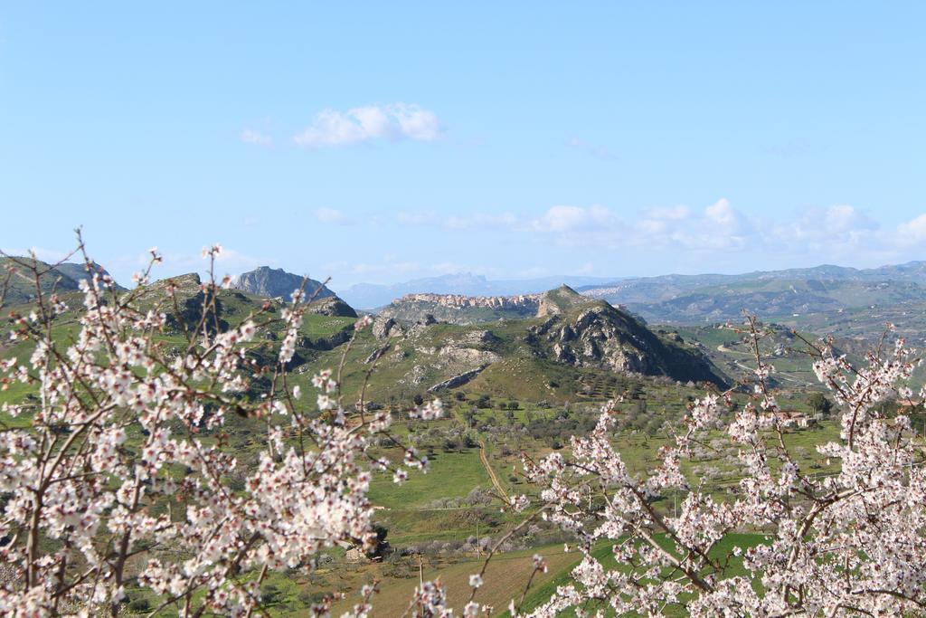 Agriturismo Feudo Muxarello Aragona Esterno foto