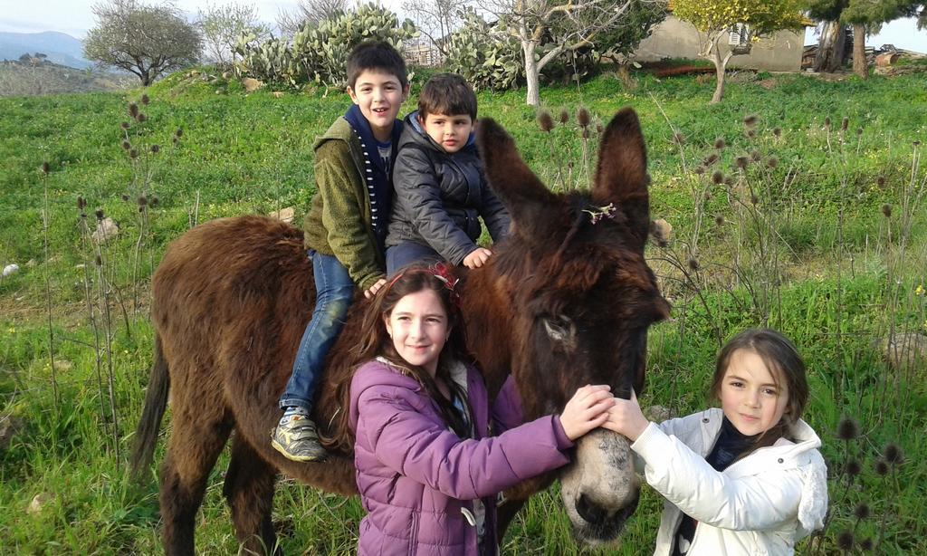 Agriturismo Feudo Muxarello Aragona Esterno foto